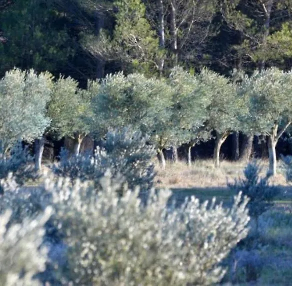 Les Cabanons Sainte Victoire 호텔 게스트하우스 Saint-Marc-Jaumegarde