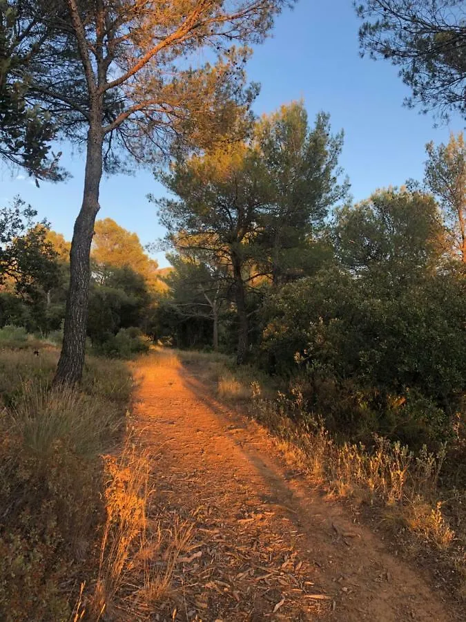 Hotel Cabanon Sainte Victoire 0*, Saint-Marc-Jaumegarde France